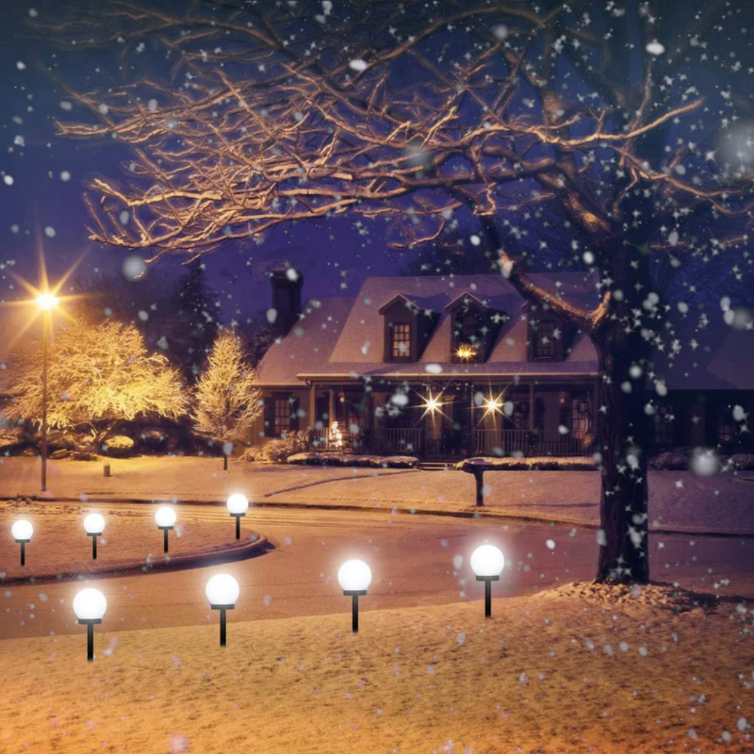 Vibrant Outdoor Solar String Light Set