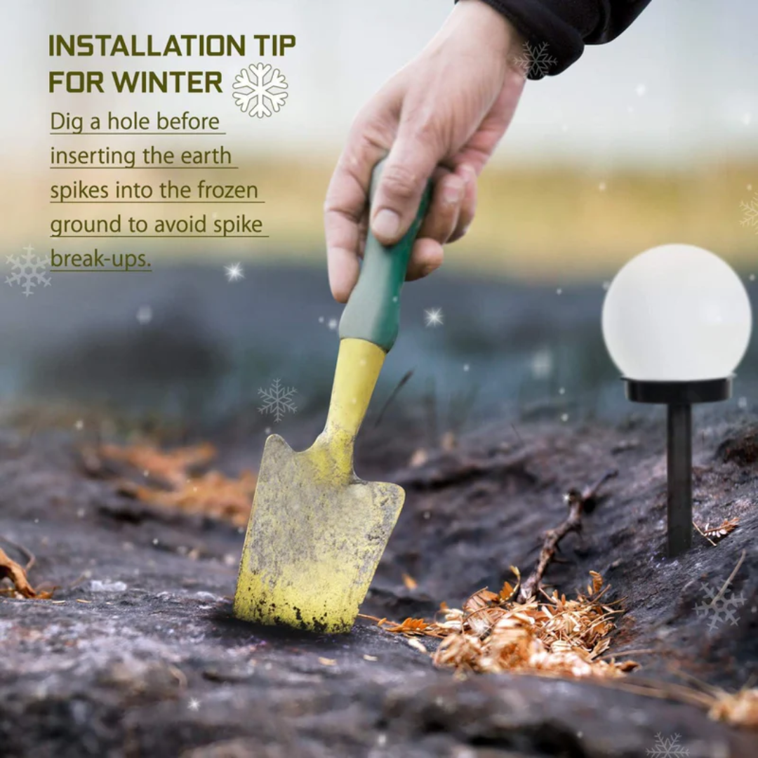 Vibrant Outdoor Solar String Light Set