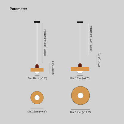 Stylish Modern LED Hanging Lamp