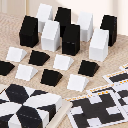 Fun 2-Sided Mind Puzzle Challenge Toy - Luxicro