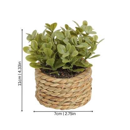 Natural Ceramic Garden Pot