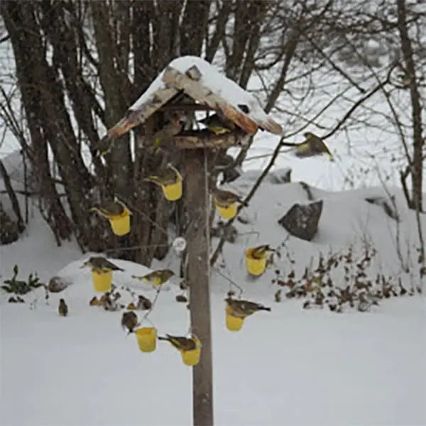 Colorful Ferris Wheel Bird Feeder Station
