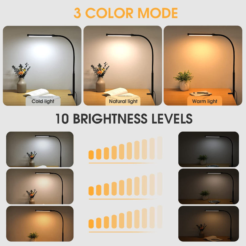 Bright Adjustable Desk Lamp with Clip-On Light