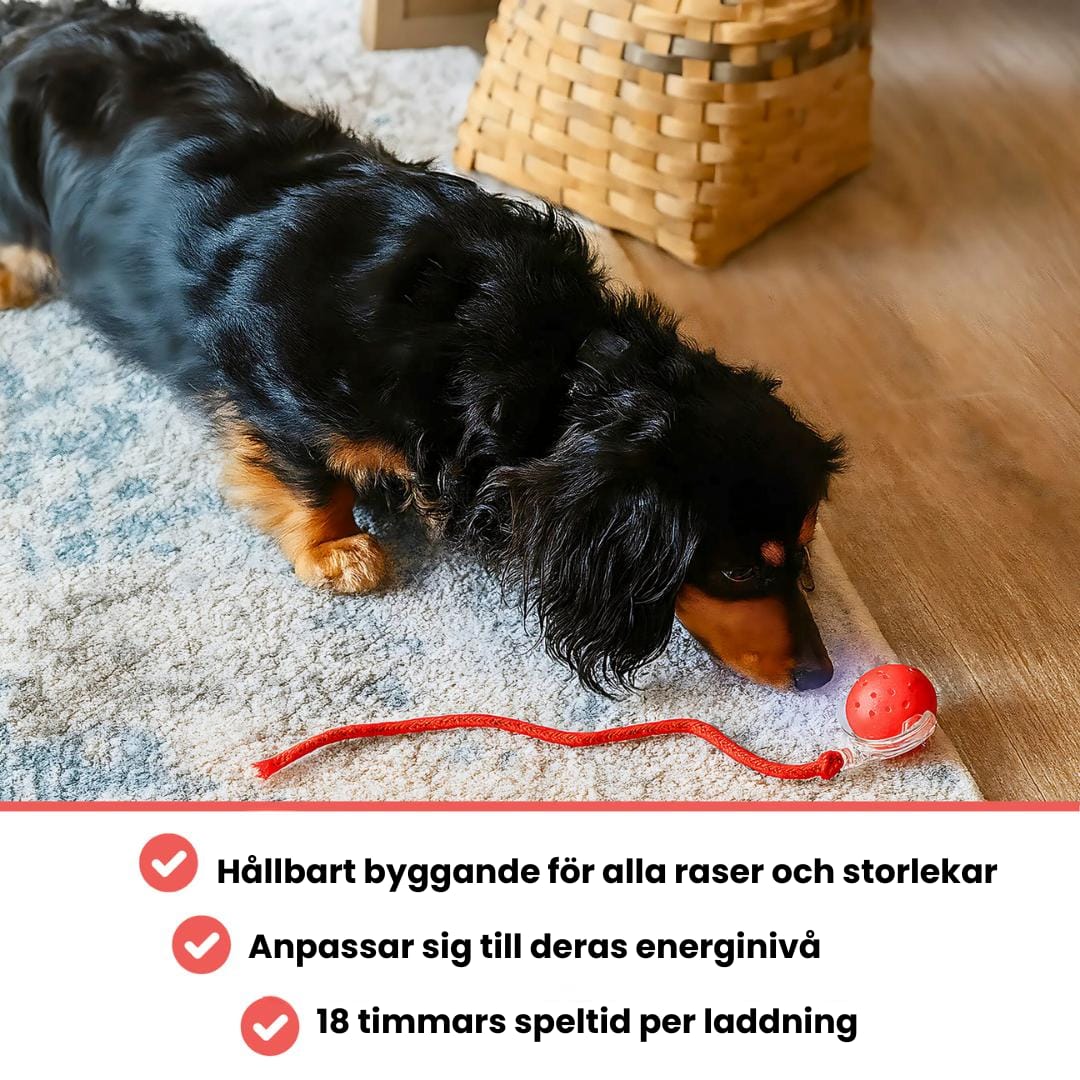 Waterproof Breathable Dog Jacket