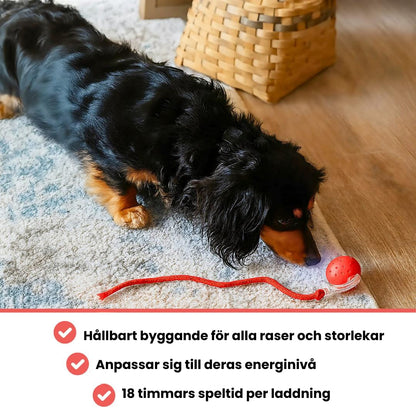 Waterproof Breathable Dog Jacket