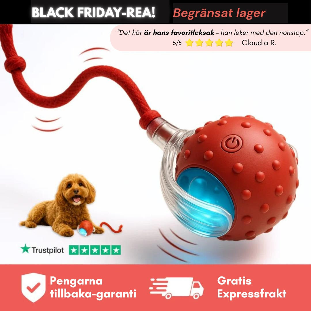 Waterproof Breathable Dog Jacket