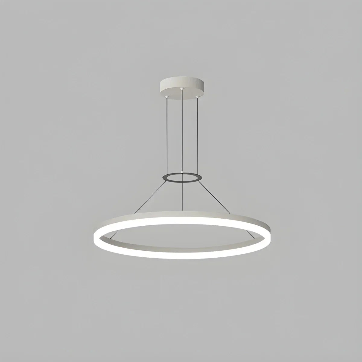 Round LED Hanging Light for Home Ceiling