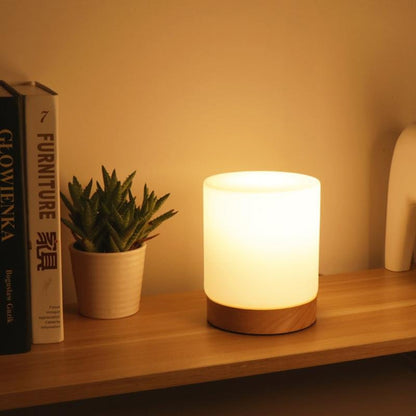 Stylish LED Desk Light with Dimmer Switch