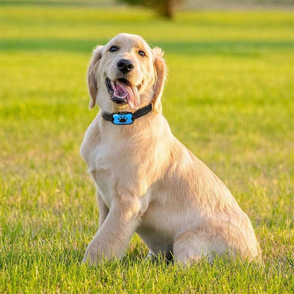 Anti Bark Training Dog Collar