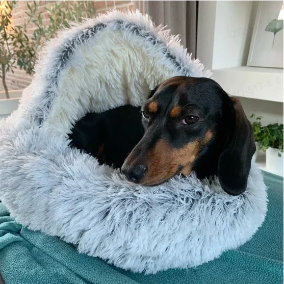 Cozy Pet Bedding for Calm Sleep