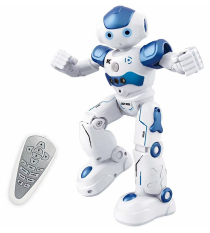 Cool Remote Control Robot Toy