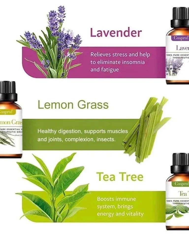 Relaxing 12pc Essential Oil Starter Set