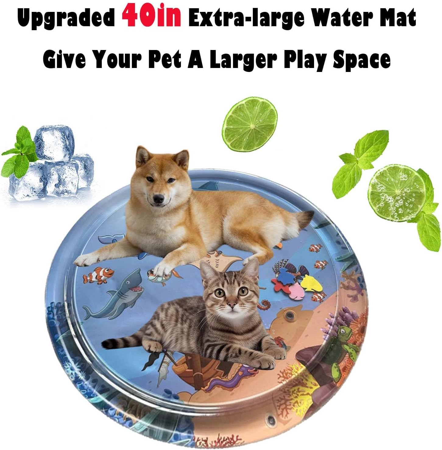 Fun Interactive Cat Toy - Luxicro