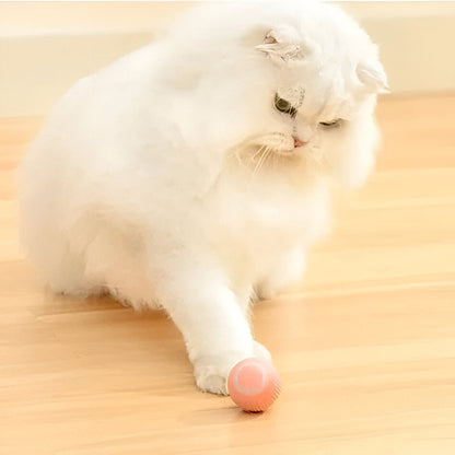 Fun Colorful Kitty Play Pad
