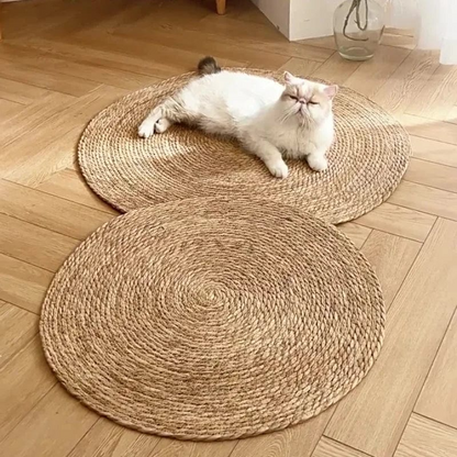 Pet Scratch Resistant Low Profile Mat