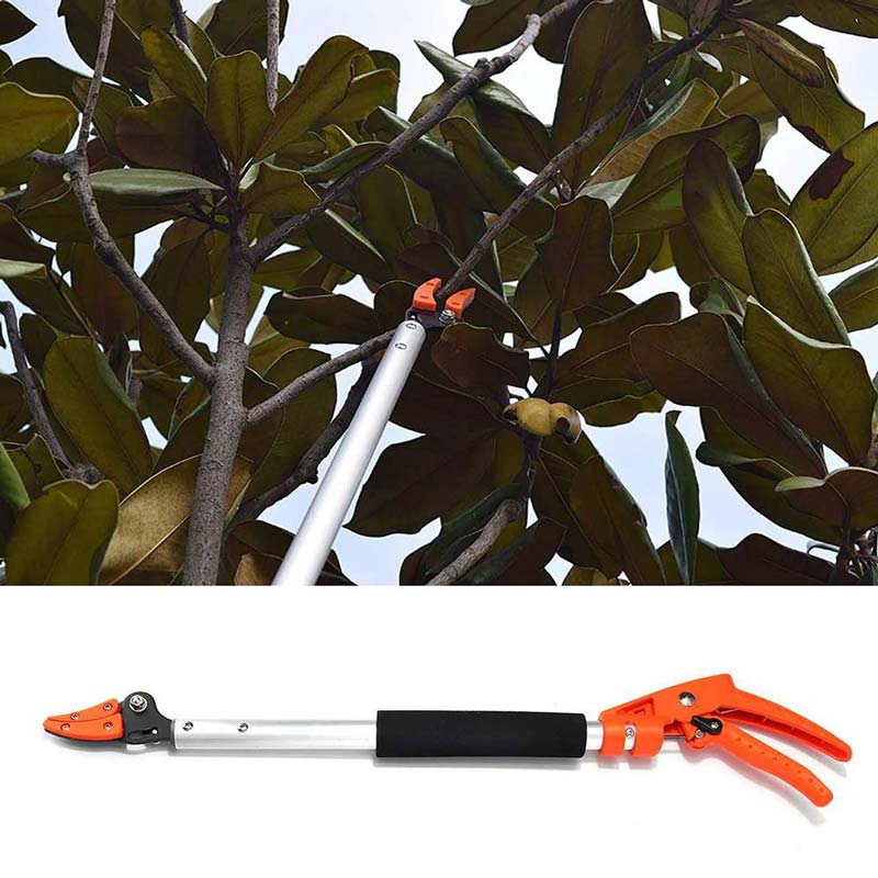 EasyCut Long Reach Hedge Trimmer - Luxicro