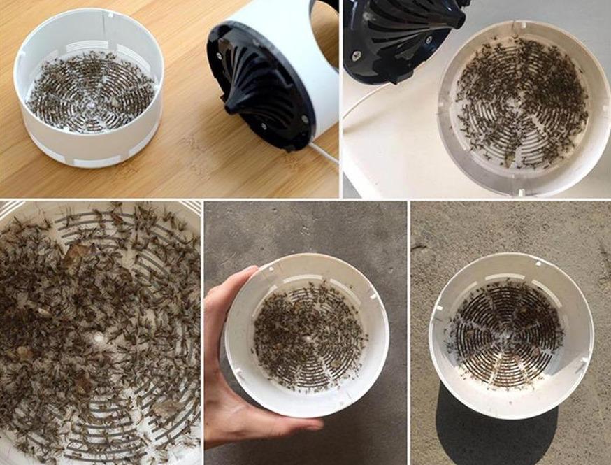 Effective Mosquito Repellent for Home Protection