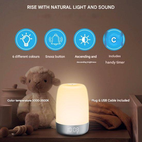 Wake Up Light Alarm Clock with Soothing Sounds