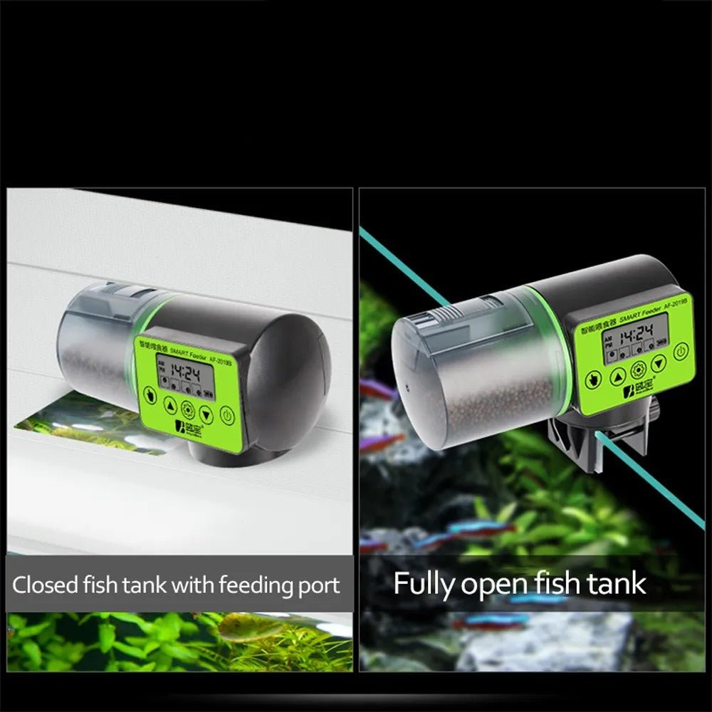 Easy to Use Digital Fish Feeder with Timer