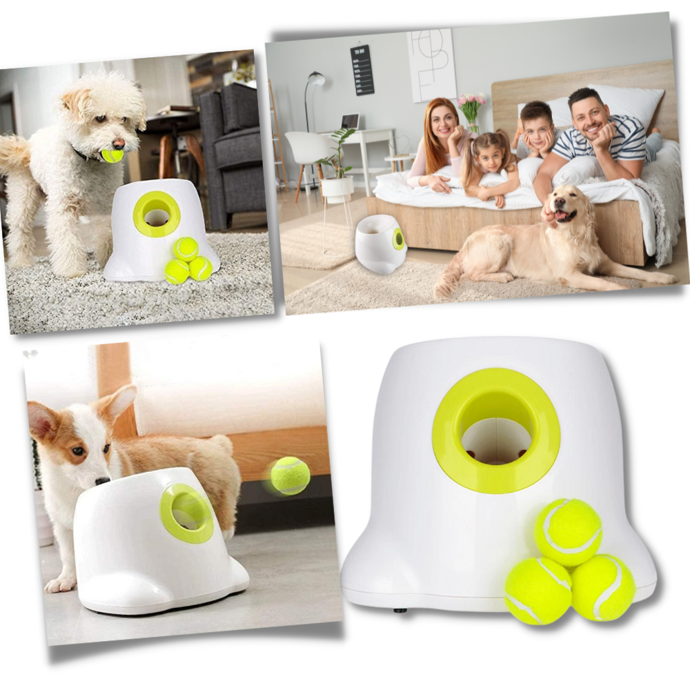 Automatic Pet Ball Launcher Toy - Luxicro