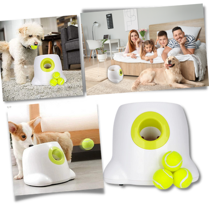 Automatic Pet Ball Launcher Toy - Luxicro