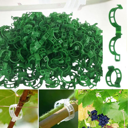 Simple Plant Supports for Tomatoes