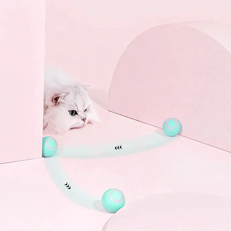 Fun Colorful Kitty Play Pad