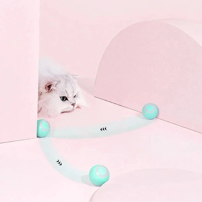 Fun Colorful Kitty Play Pad