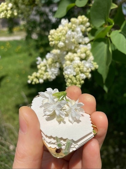 Easy Flower Drying Kit Home Preservation