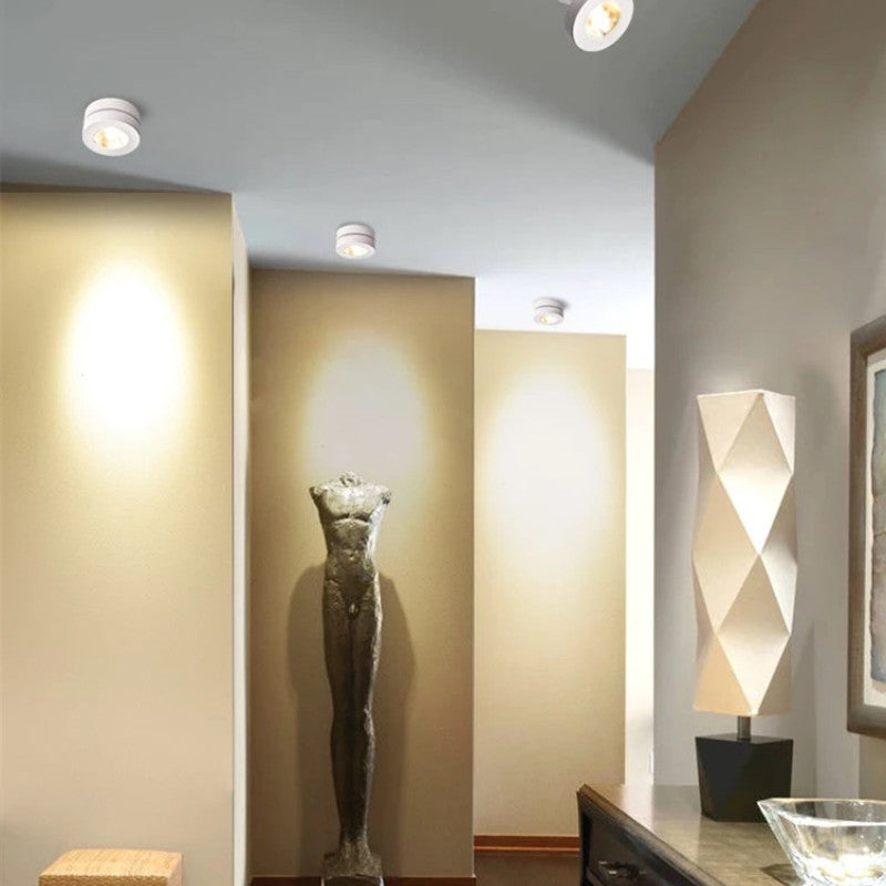 Contemporary Steel Ceiling Spot Lamp