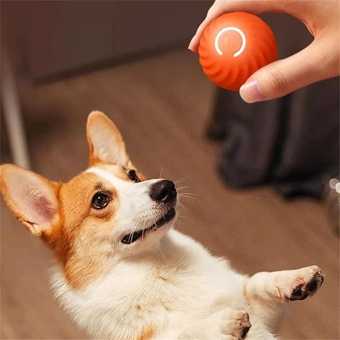 Automatic Interactive Pet Ball Toy - Luxicro