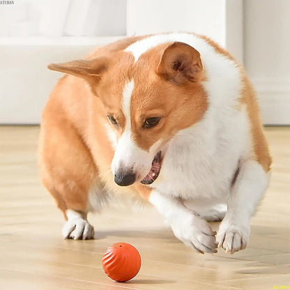 Fun Interactive Pet Ball Toy - Automatic Roller