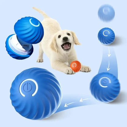 Fun Interactive Pet Ball Toy - Automatic Roller