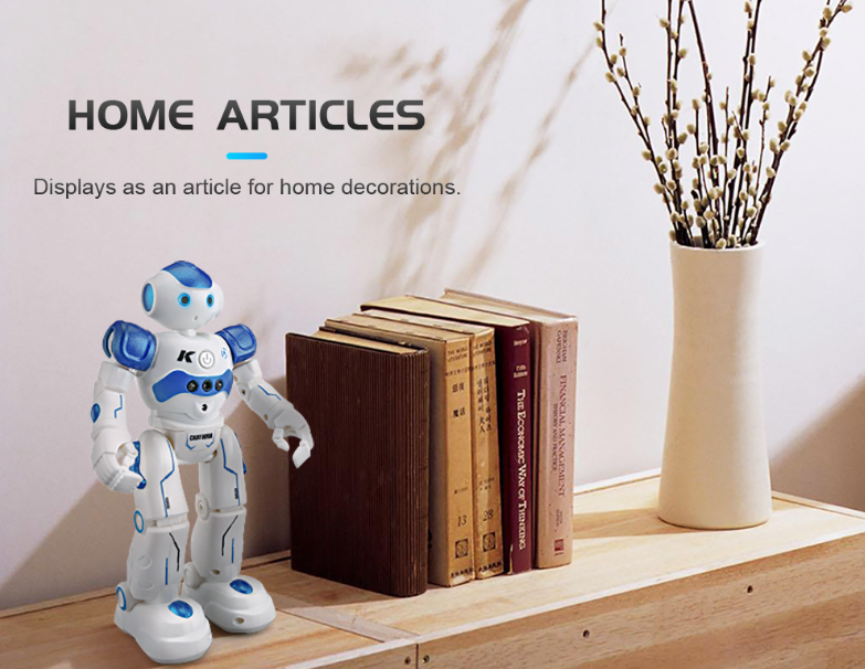 Cool Remote Control Robot Toy