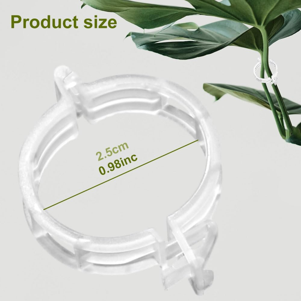 Simple Plant Supports for Tomatoes