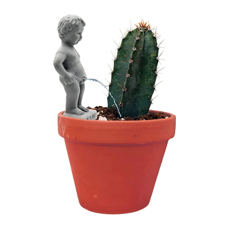 Colorful Ceramic Flower Pot Planter