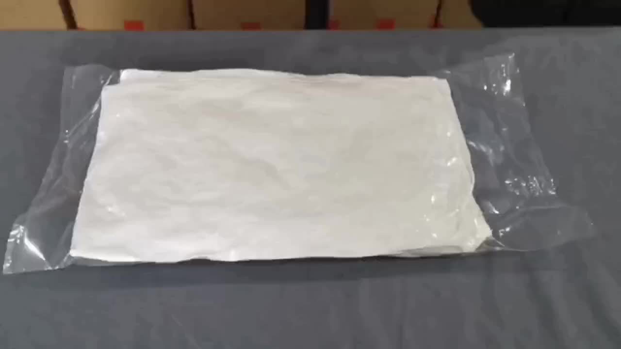 Soft Plush Down Pillow for Deep Sleep