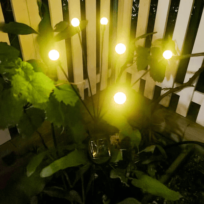 Bright Garden Solar Fairy Lights