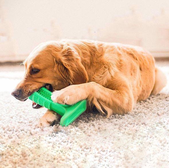 Dog Teeth Cleaning Brush Kit