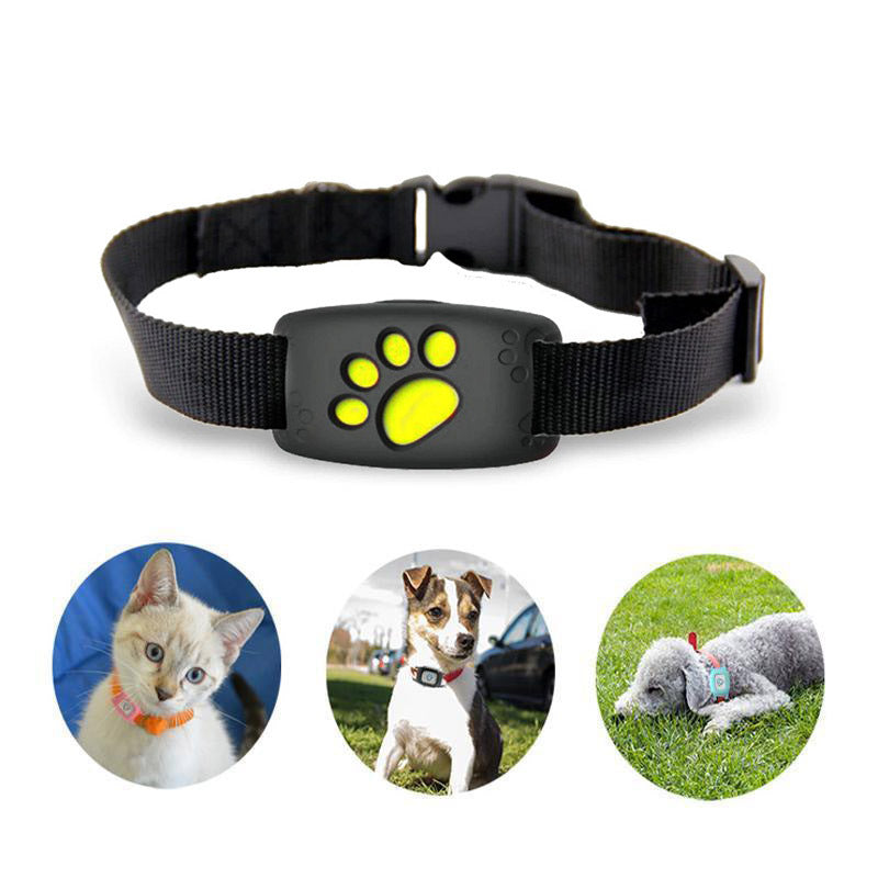 Advanced Tracking Pet Cat Collar