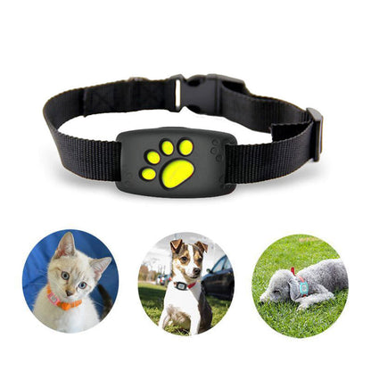 Advanced Tracking Pet Cat Collar