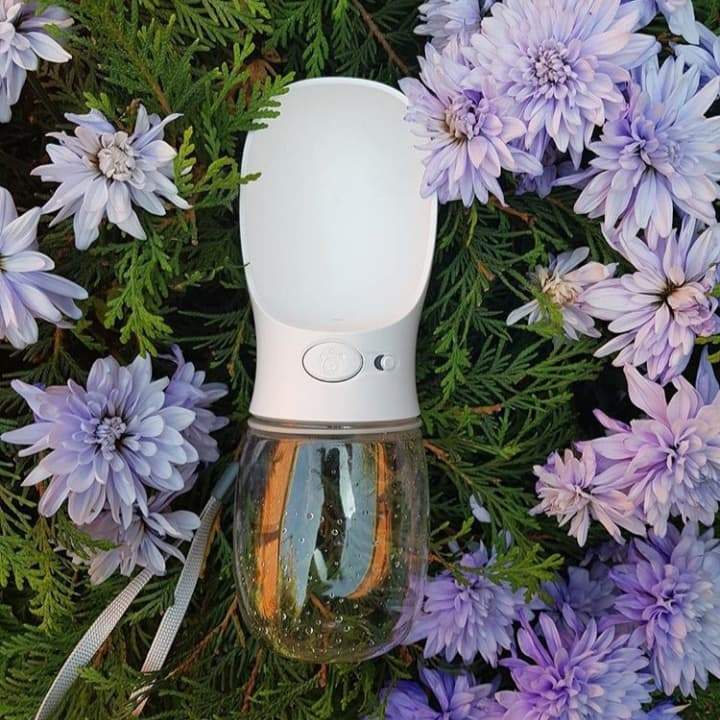 Spill Proof Travel Pet Water Bottle