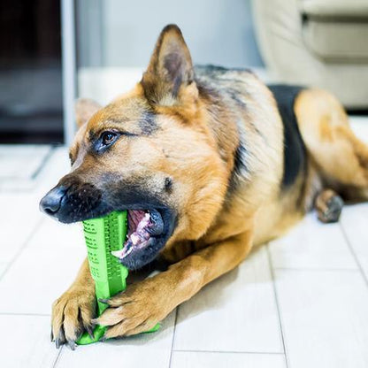 Dog Teeth Cleaning Brush Kit - Luxicro