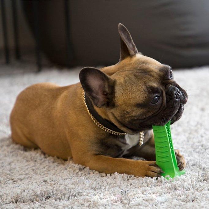 Dog Teeth Cleaning Brush Kit