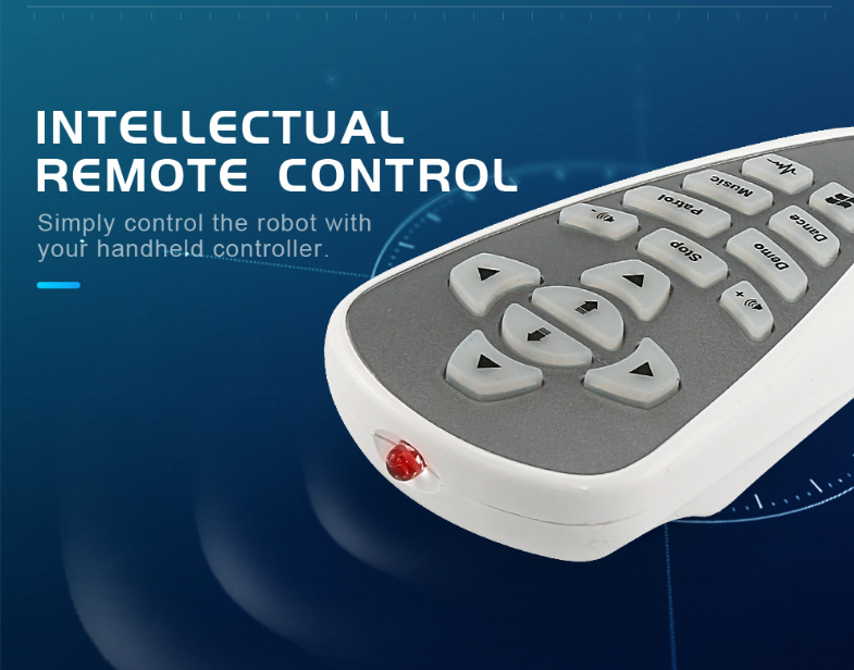 Cool Remote Control Robot Toy