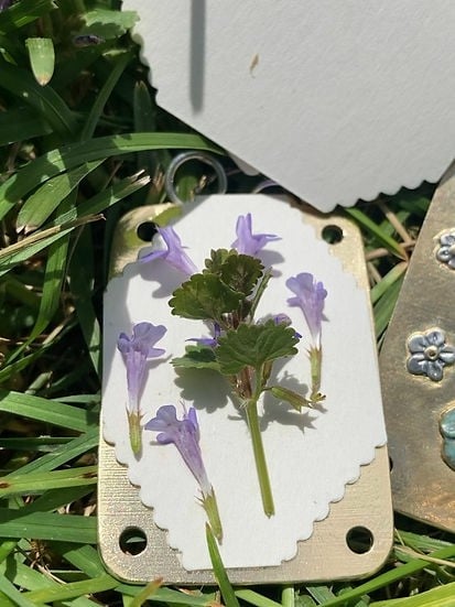 Easy Flower Drying Kit Home Preservation