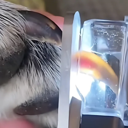 Safe Pet Nail Trimmer with LED Light Guide