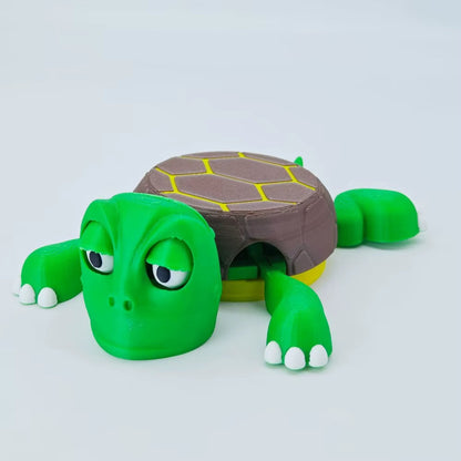 Fun Turtle Mug Coaster Set