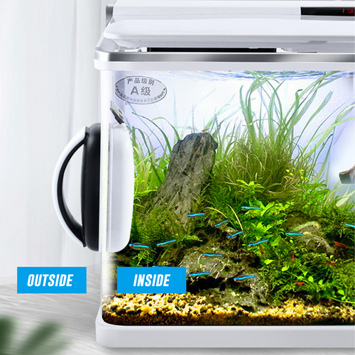 Transparent Freshwater Fish Tank