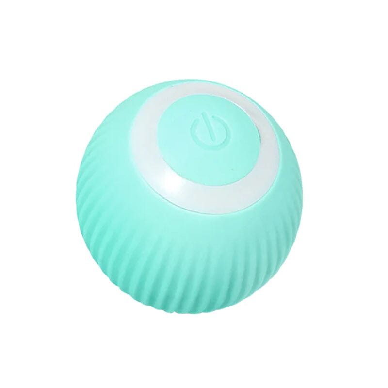Fun Electronic Pet Play Ball